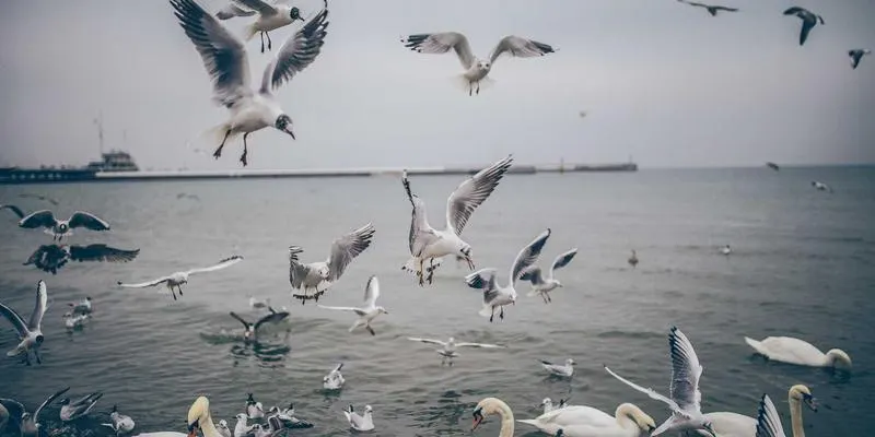 济南AI应用开发
