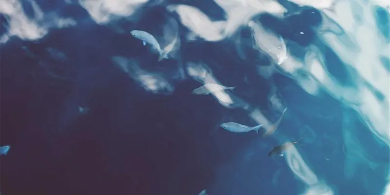 济南AI解决方案