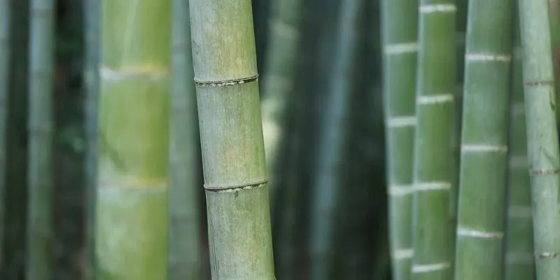 济南AI小程序开发
