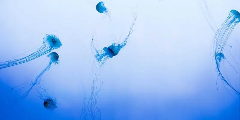 济南AI电商