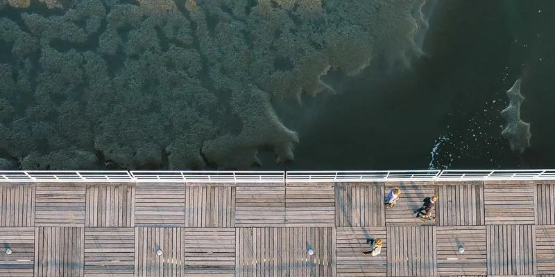 济南AI营销