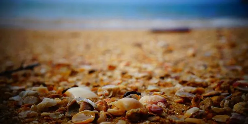 济南AI小程序开发