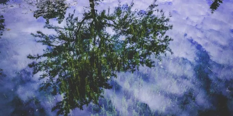 济南AI学习