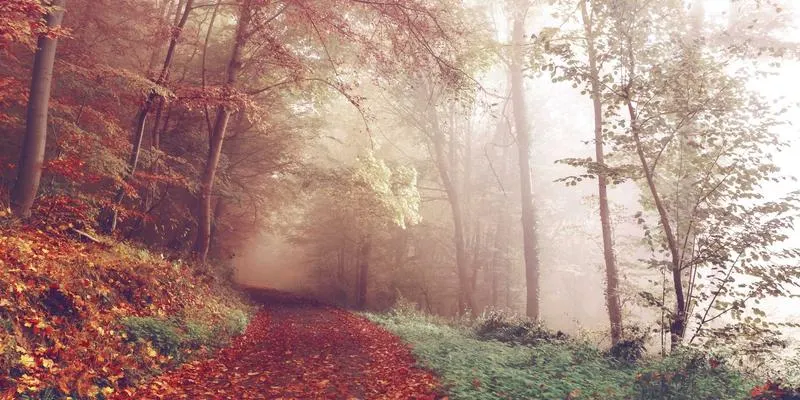 济南AI绘画