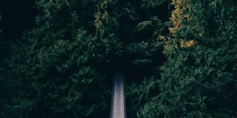 济南企业AI培训
