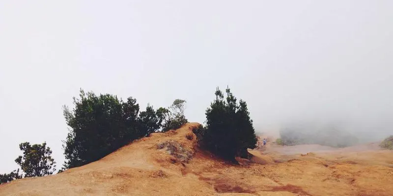 济南AI小程序开发