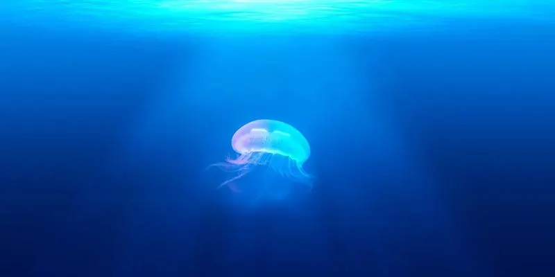 济南AI写作