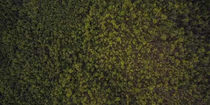 济南AI应用开发